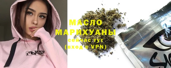 гашик Алексин