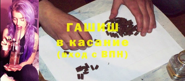 гашик Алексин