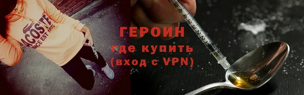 гашик Алексин