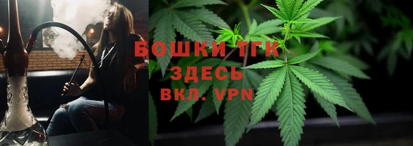 соль ск Алзамай