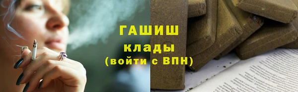 гашик Алексин