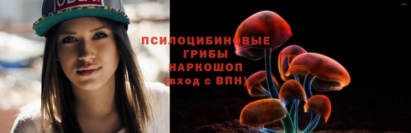 дурь Алексеевка