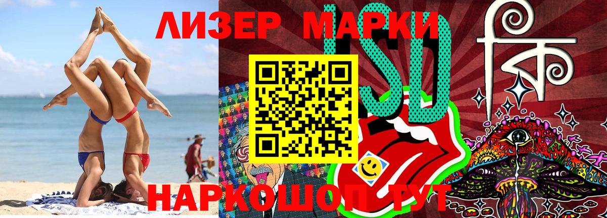 Конопля Ейск