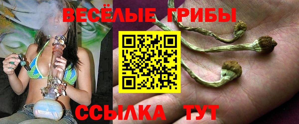 Галлюциногенные грибы мицелий Ейск
