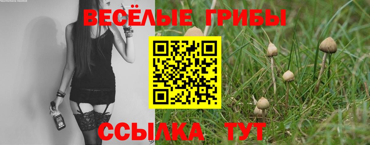 Псилоцибиновые грибы Cubensis  Вход с VPN  Ейск 